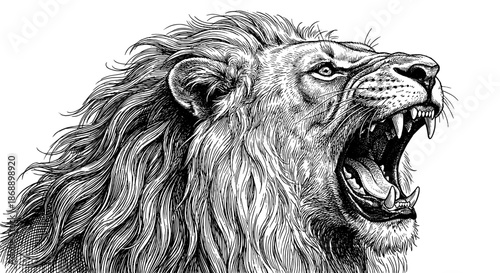 Majestic Roar of the King: An illustration of a powerful lion roars fiercely, its majestic mane a symbol of royalty, strength, and untamed wild