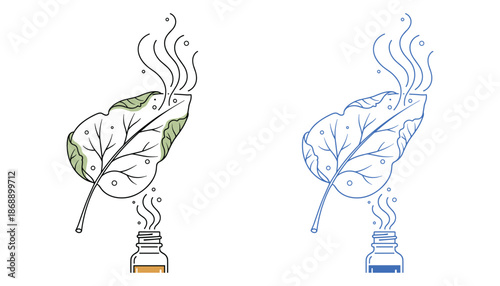 Clove leaf and aromatherapy oil bottle illustration for fragrance and aroma therapy usage