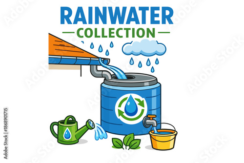 Rainwater collection system: sustainable water management and conservation techniques