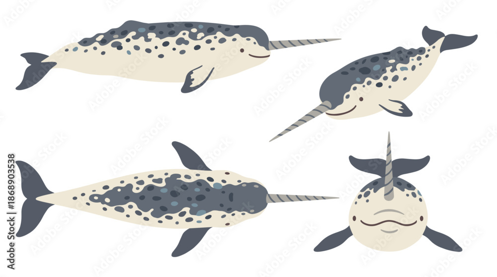 Fototapeta premium Narwhal Set Vector Illustration