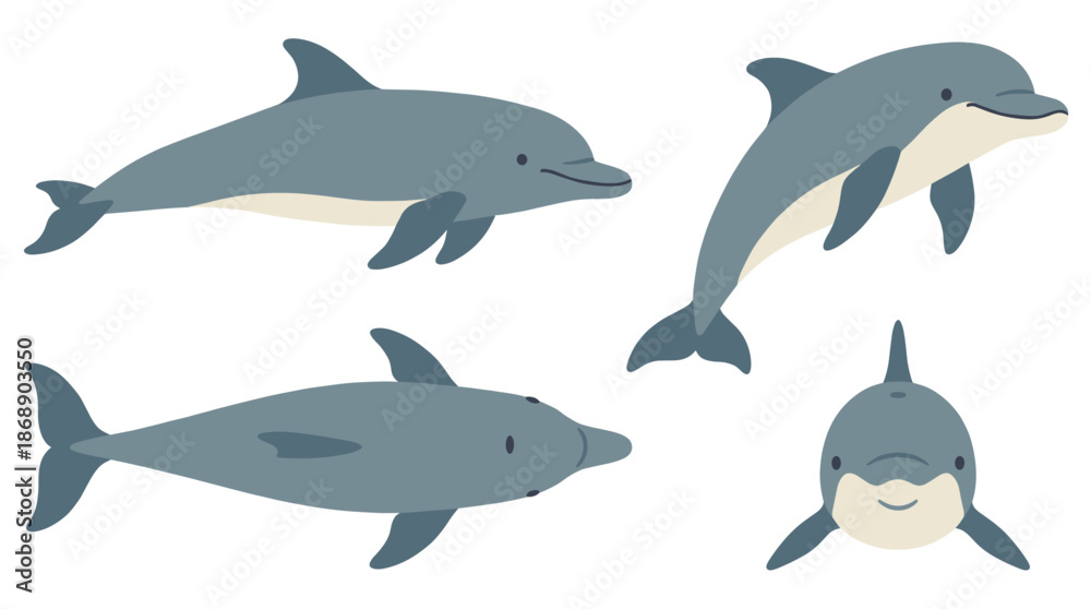 Fototapeta premium Dolphin Collection Vector Set