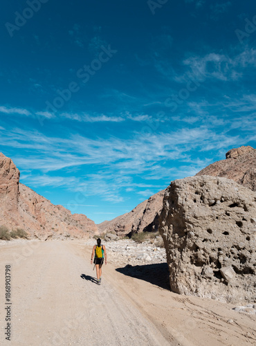 hiker girl woman anza borrego desert national park california USA