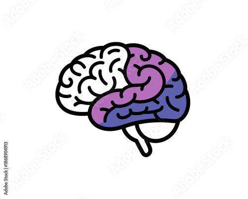 A colorful vector illustration of a human brain with purple and blue sections