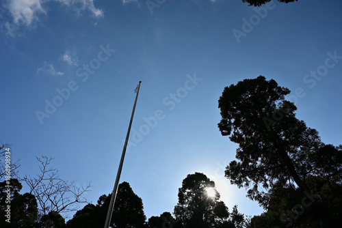 木漏れ日と見上げる日本国旗