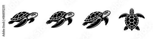 Sea turtle vector icons set. flat black turtle symbols. ocean, marine life, reptiles.