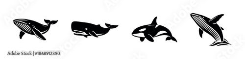 Whale species vector icons set: flat black whale symbols, marine mammals, ocean life