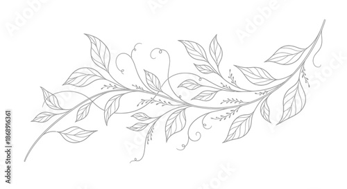 Elegant botanical illustration of delicate leaves and vines in intricate detail.