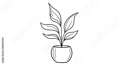 Elegant potted plant illustration showcasing detailed leaves and rounded pot.