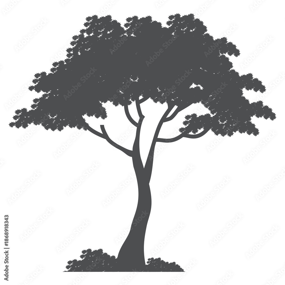 Fototapeta premium tree silhouette. flat style tree illustration. cartoon tree. forest nature theme
