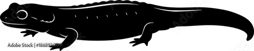 salamander line art silhouette vector illustration
