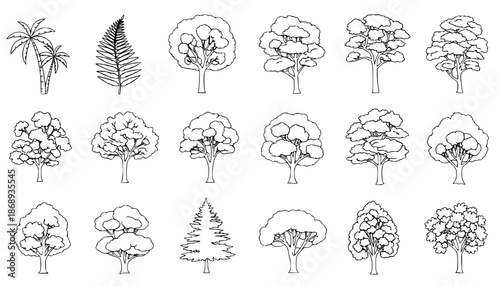 
silhouette tree line drawing set, Side view, set of graphics trees elements outline symbol for architecture and landscape design drawing. Vector illustration in stroke fill in white. Tropical