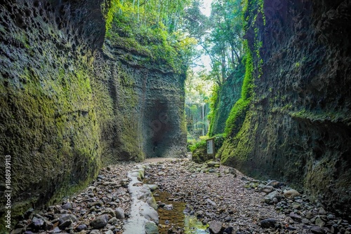 Canvas Print 苔むした岩壁の間を抜ける神秘的な切り通しの道
