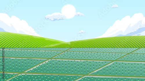 240104_김지호_논밭(자연+자연풍경+풀+식물)