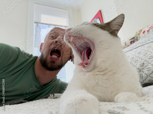 Cat and Owner Share a Moment of Yawning Fun Indoors