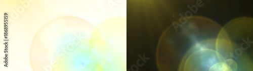 x ray image of human brain