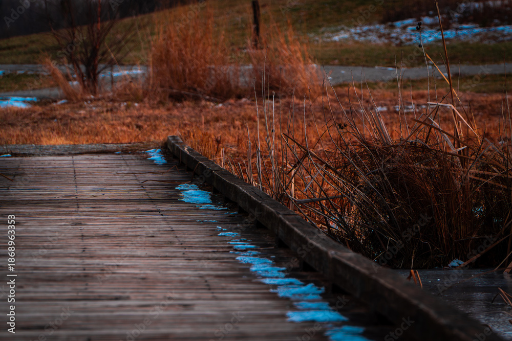 Obraz premium Wooden boardwalk path through dry reeds in a winter wetland landscape. Scenic nature walkway with copy space