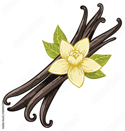 Vanilla Beans with Flower and Leaves Illustration