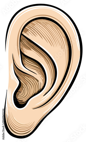 Stylized Human Ear Illustration with Bold Outlines and Hatching Details