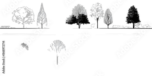 様々な樹木をシルエットと線画で表現した透過性のあるグラフィック素材集で、建築や景観デザインのプロジェクトに最適です。