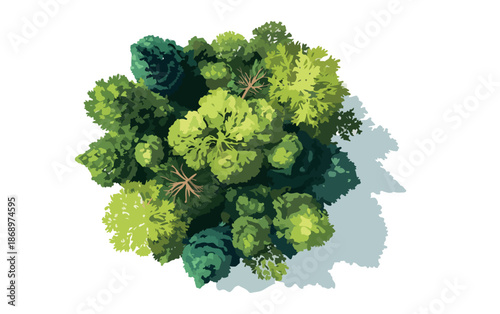 様々な緑の葉を持つ木々が上空から見たイラストで、自然の豊かさと環境保護を象徴し、透明背景でデザインに使いやすい。