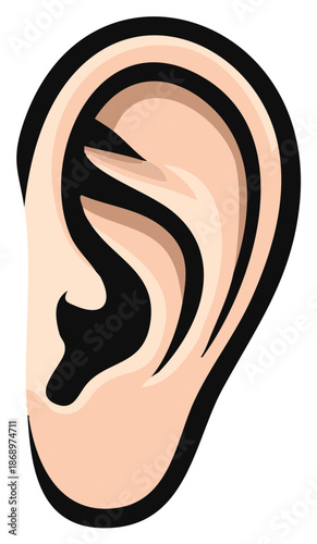 Human Ear Cartoon Illustration Hearing Organ Anatomy Medical Biology Study Aid