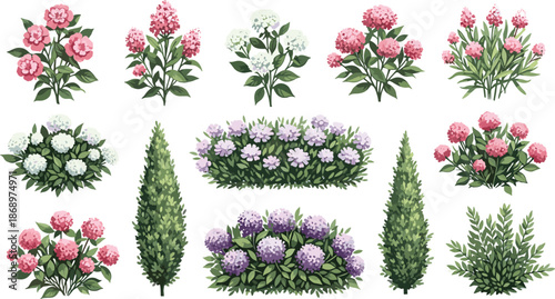 Flower bushes and garden shrubs vector illustration set, colorful blooming plants collection, landscaping design elements, botanical nature assets for projects