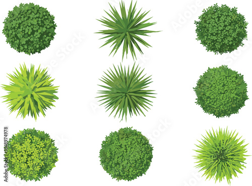 Green bushes and shrubs top view set, flat vector illustration, landscaping elements collection, garden plants icons, natural design assets