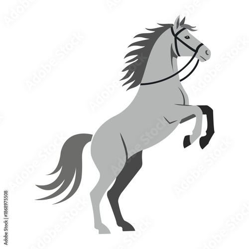 Majestic gray horse rearing up on hind legs illustration for equestrian branding horse racing logos ranch identity and animal sports graphic