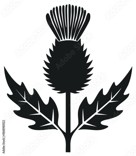Stylized Thistle Floral Emblem, National Symbol Silhouette Icon, Scottish Plant with Leaves