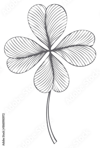 Hand drawn four leaf clover illustration good luck symbol
