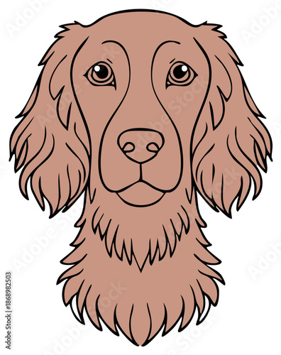 Brown furry dog head vector illustration with a friendly expression