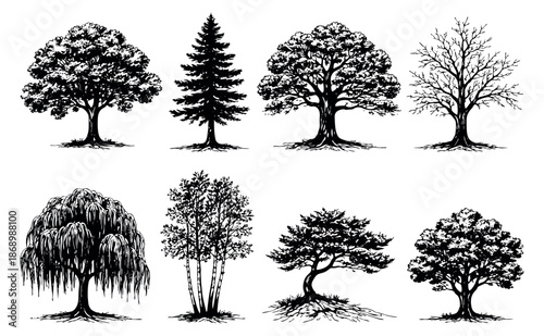 Hand drawn line art tree set featuring diverse tree species for nature and landscape design