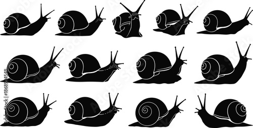 Black snail silhouette collection, garden gastropod vector set, slow moving mollusk icons, spiral shell animals isolated on white background,  