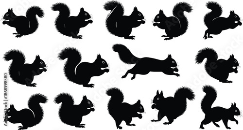 Collection, of, adorable, squirrel, silhouettes, in, various, poses, like, jumping, sitting, and, eating, for, nature, forest, and, wildlife, design, isolated, black, vector, illustrations, on, white