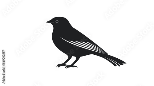 Black Silhouette of a Bird Standing.