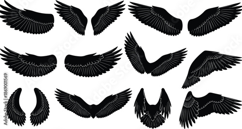 Set, of, majestic, bird, and, angel, wing, silhouettes, in, various, spread, and, folded, positions, for, flight, freedom, and, heavenly, design, isolated, vector, illustrations, on, white