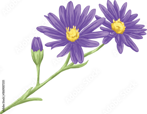Aster Flower Botanical Painting Elegant Wildflower Art