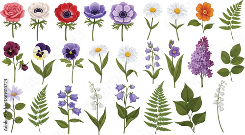 Beautiful collection of diverse spring and summer flowers, including roses, pansies, daisies, lilies, and ferns, showcasing nature's vibrant botanical beauty.