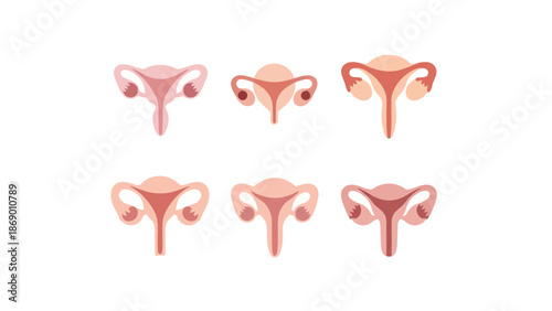 Set of colorful uterus illustrations isolated on white background
