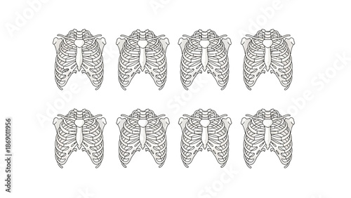 Anatomical illustration skeletal structures of human rib cages, arranged in a grid pattern