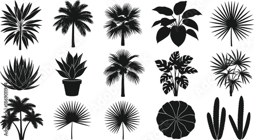 Tropical plant silhouettes set, exotic palm tree leaves, monstera foliage, cactus and agave garden elements, botanical floral vector illustrations for summer design, isolated on white background.