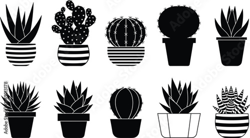 Succulent and cactus silhouette vector set, potted plant design, botanical shapes, black illustration, home decor, nature element, flat icon art