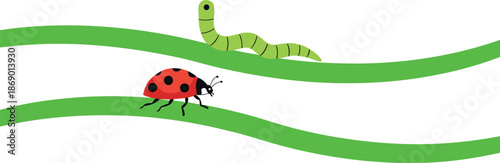 Vector illustration of a cute green caterpillar and a red ladybug crawling on curved green blades of grass.