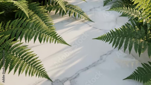 Fern Leaves on Marble Background - This video shows a white marble surface surrounded by vibrant green fern leaves. The natural lighting casts soft shadows, creating a serene and inviting atmosphere.