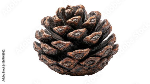 Pinecone with textured scales, representing autumn, nature, ecology, and natural growth on transparent background