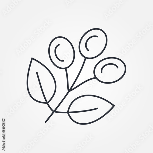 Illustration of coffee branch and beans - Engraving coffee plants, vintage decorative leaves and coffee cherries for design uses