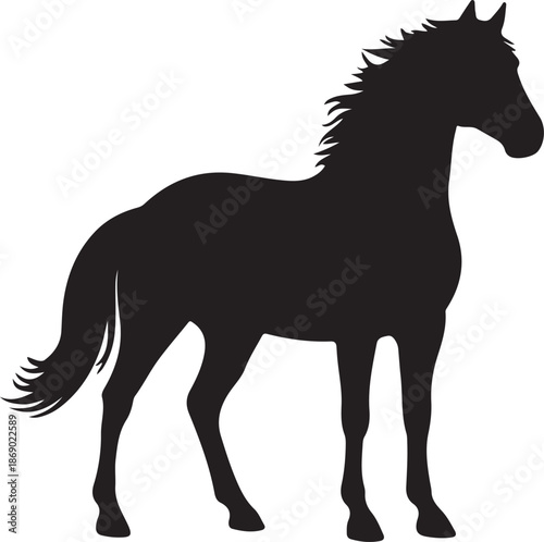 A black stallion horse silhouette vector illustration of a wild equine mammal with a long mane and tail isolated