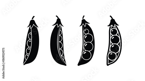 Four pea pods in varying stages of development depicted in black and white