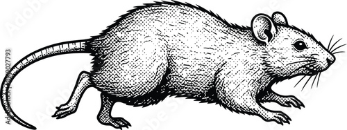 Detailed Running Rat Illustration Woodcut Style Black and White Monochrome Vector Graphic