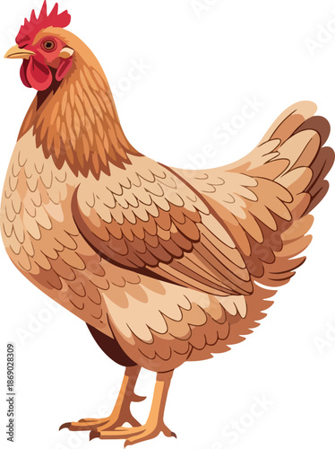 Detailed Illustration of a Brown Chicken A Vibrant Depiction of Poultry on a White Background